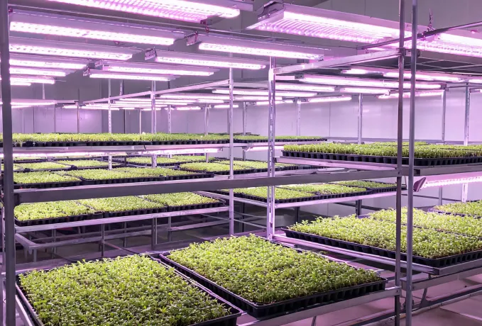 Propagation lighting