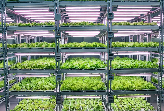 Vertical farming lighting