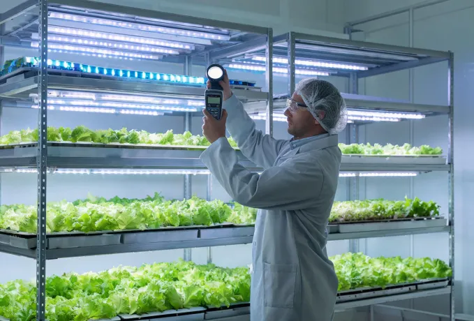 Vertical farm lighting validation